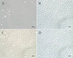 Fig-1-new