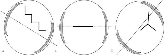 Fig3.jpg